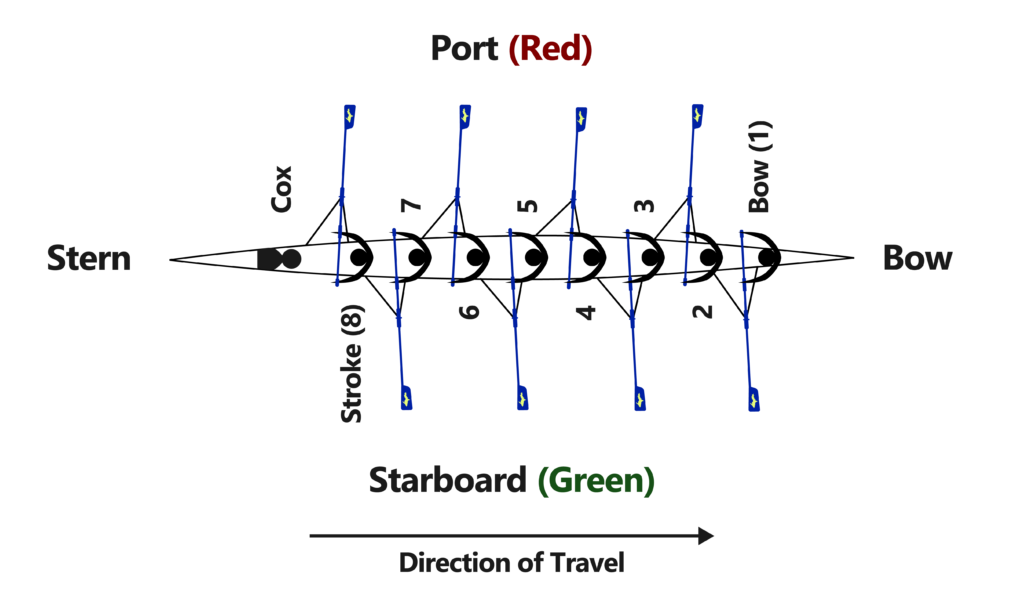 sweep shell 8 person diagram